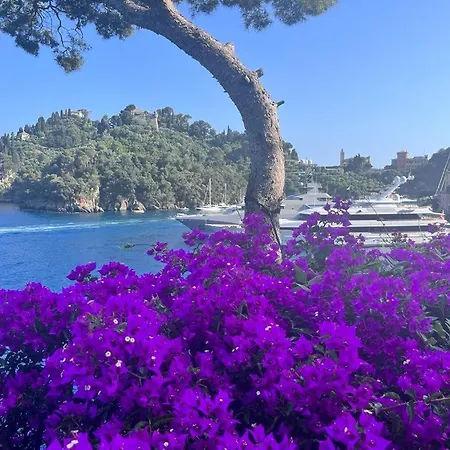 Terrazza Sul Mare